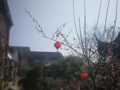 -祝家花園(伯渎港店)