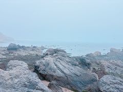 -黑石礁公园