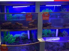 -七欣天香辣蟹火锅(南京建宁路大观天地店)