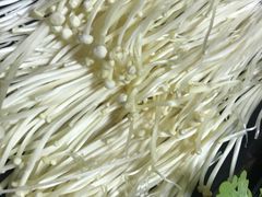 -乐尚一号high唱音乐·火锅