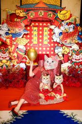 -一诺宝宝宴派对策划