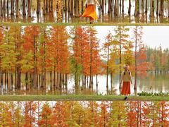 -白鹭湾湿地公园