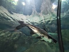 -福州罗源湾海洋世界旅游区