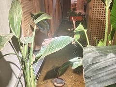 -邈墨茶馆(凤起路店)