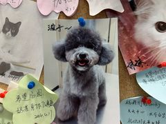 -爱诺耐芙动物医院(万博店)