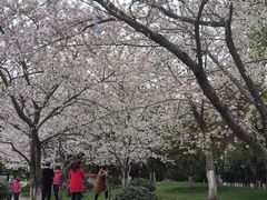 -堤角公园