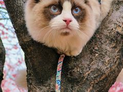 -食膳公园包子铺(烈士公园店)