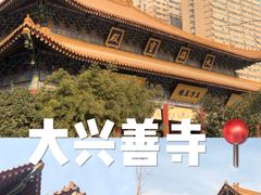 -西安大兴善寺