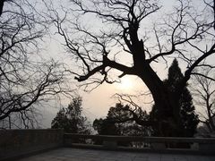 -沣峪森林公园龙潭戏水景区