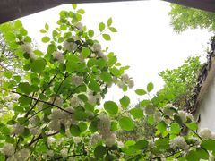 -惠山古镇·寄畅园