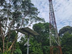 -武吉知马自然保护区