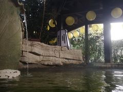 -杭州第一世界大酒店·云曼温泉