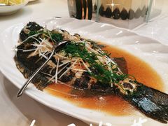 -青岛蓝海大饭店·渔歌舫(李沧店)