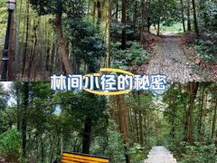-潜山国家森林公园