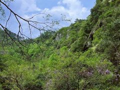 -黄山翡翠谷景区