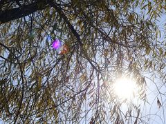 -长春市南湖公园