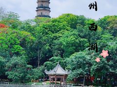 -惠州西湖