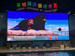 -泉城欧乐堡海洋极地世界
