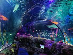 -沈阳海洋探索中心