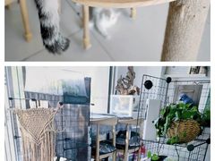 -平行世界·猫咖(首经贸店)