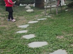 -石家庄市植物园