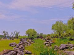 -春花秋色城市公园
