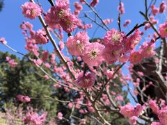 -香山公园