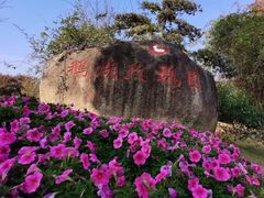 -鹅湖玫瑰文化园