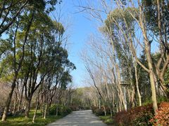 -长广溪湿地公园