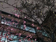 -浙江大学(玉泉校区)
