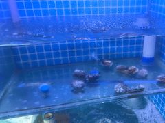 -面道赞宁海海鲜面(迎凤街店)