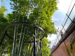 -扫雪煮茶(西村店)