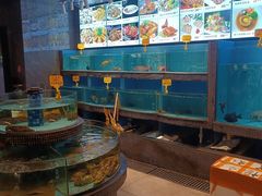 -怀德酒楼·粤菜·海鲜·茶点(宝安国际机场店)