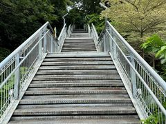 -佛山华盖山公园
