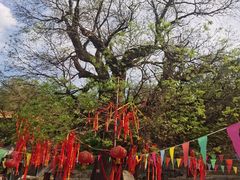 -封龙山风景区