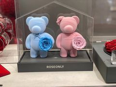 -ROSEONLY诺誓(沈阳万象城店)