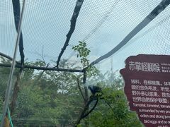-济南野生动物世界