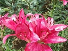 -白沙门生态公园