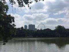 -幻彩摩天轮