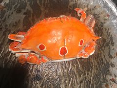 -欢乐牧场海鲜烤肉自助(牡丹园店)