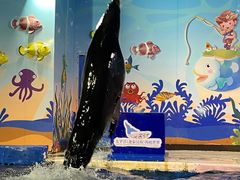 -太平洋海底世界