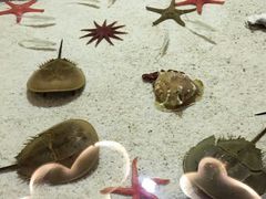 -福州罗源湾海洋世界旅游区