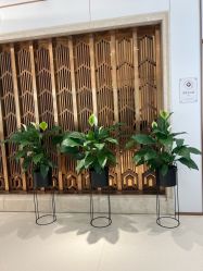 -禾丽康美医疗美容医院