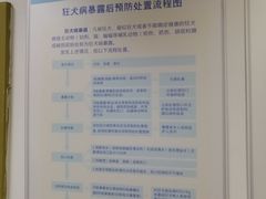 -上海市松江区九亭医院