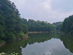 -重庆雨台山风景区