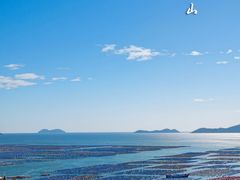 -枸杞岛