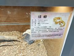 -上海大自然野生昆虫馆(东方明珠·爬宠昆虫探索中心)