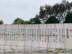 -铁山坪森林公园