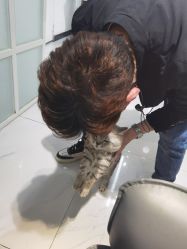 -飞梵造型