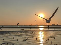 -老虎石海上公园